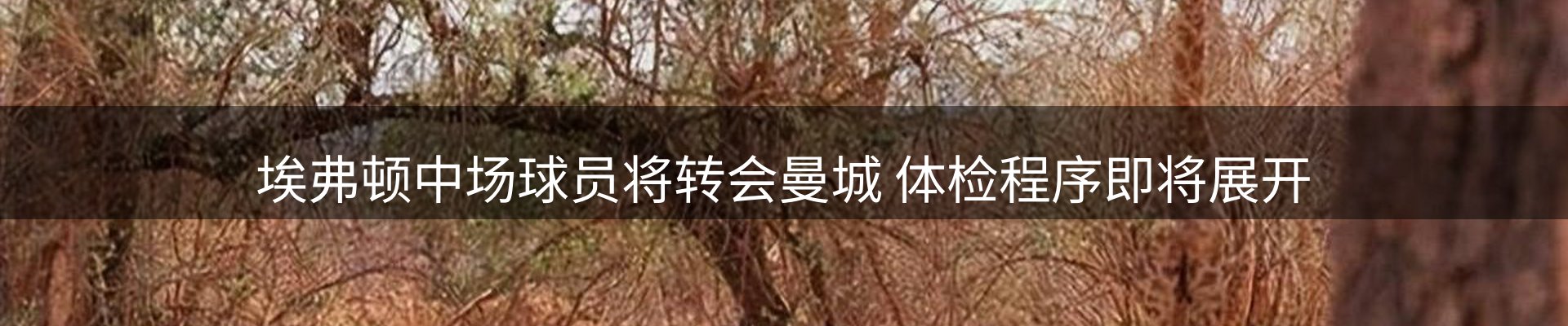 内页banner